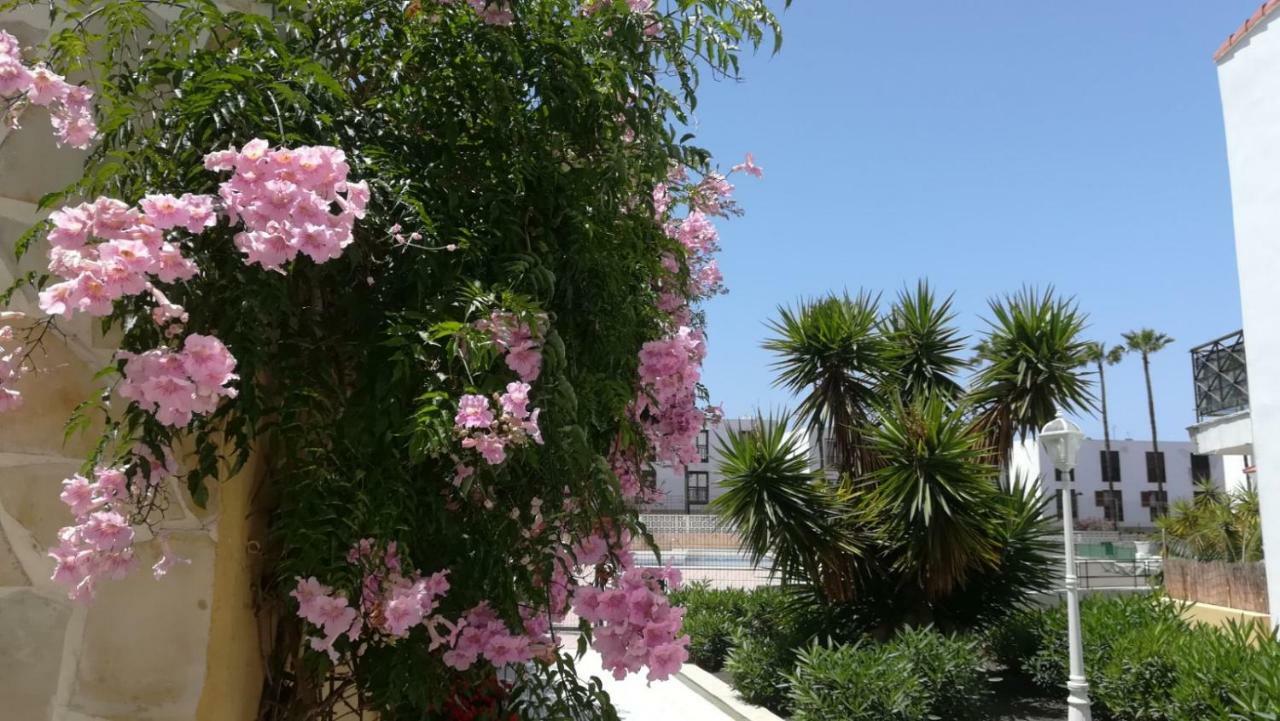 Ferienwohnung Tenerife Altamar Paradise Playa de las Américas Exterior foto